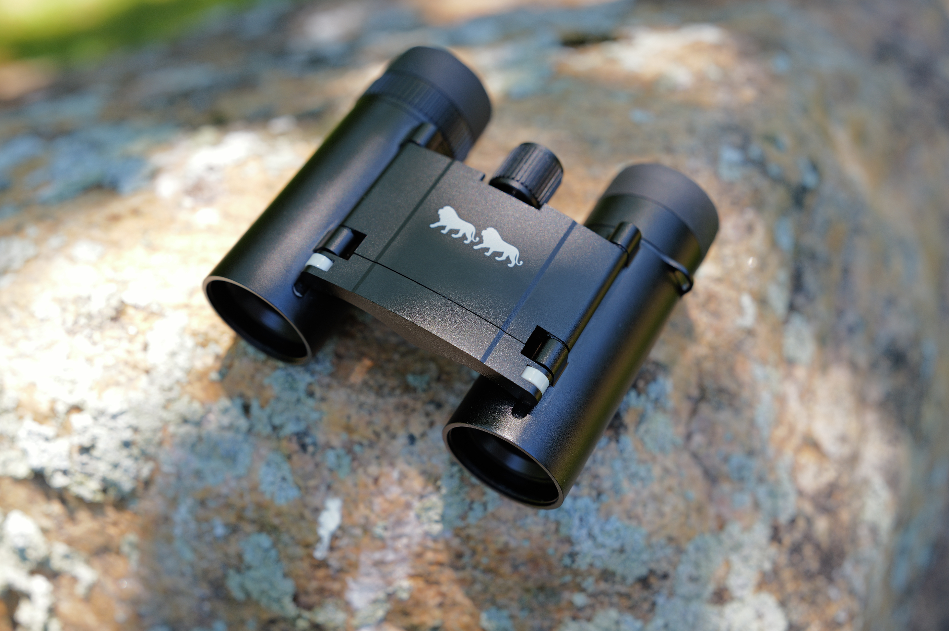 Double Lion binoculars resting on lichen-covered rock