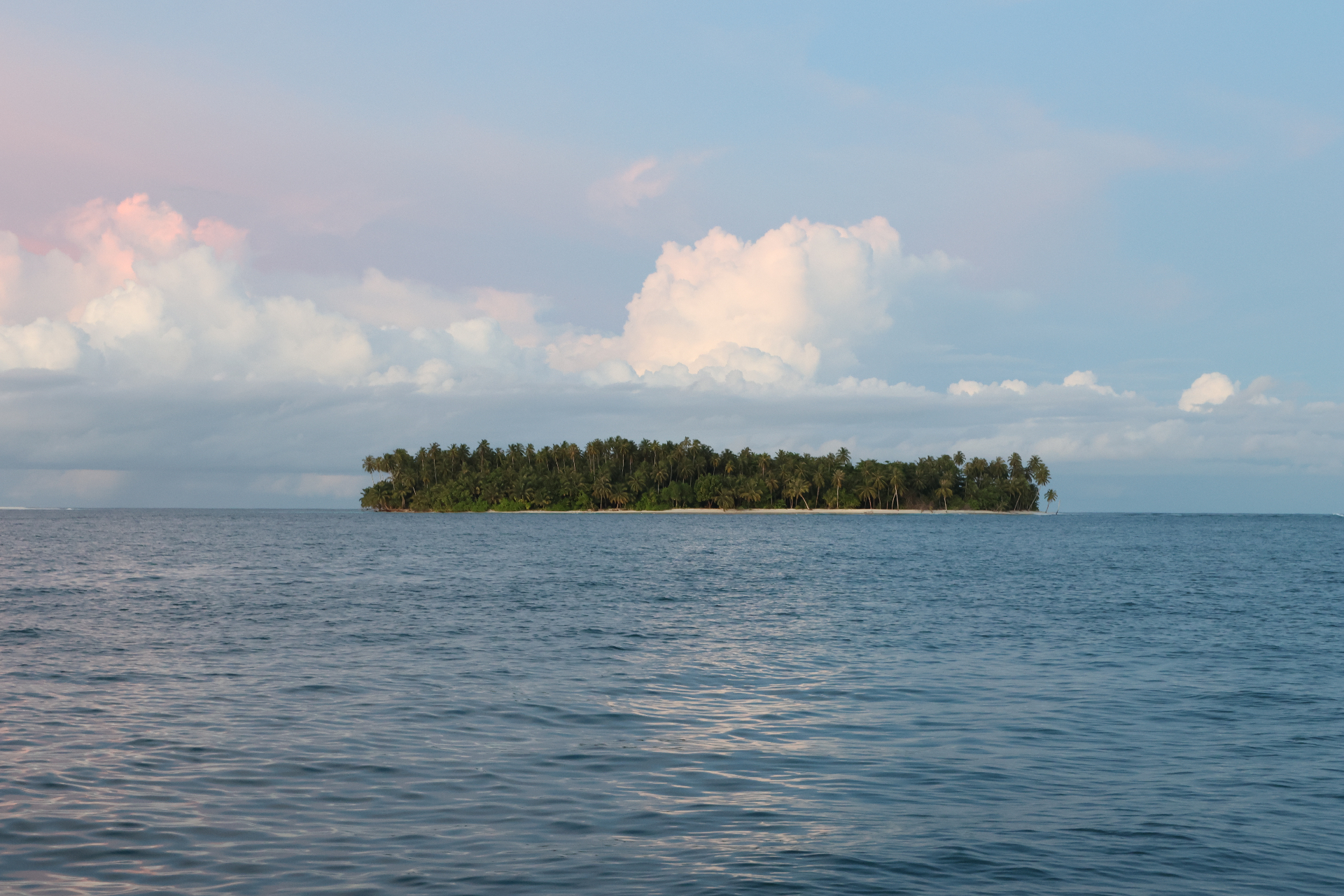 Remote palm-covered island at dusk